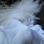IMG_8804 IMG_8804