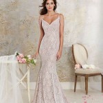 400cc9c76a4cd65502be3ba8ab559436