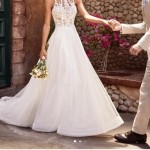 3CC05E12-0DF0-4B38-A5EC-3DAC624C026F