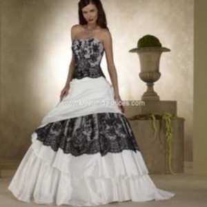 DC202402-95B9-47AC-8BDF-417C9A1A5E71