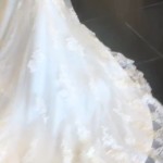 Screenshot_20230520_173338_Photos