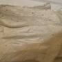 IMG_1348