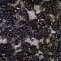 IMG_0424 IMG_0424