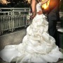 IMG_1295 IMG_1295