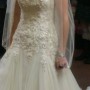 IMG_0099 IMG_0099