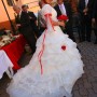 IMG_0208 IMG_0208