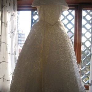 IMG_1169 IMG_1169