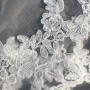 IMG_0302 IMG_0302