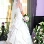 IMG_1559 IMG_1559