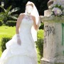 IMG_1855 IMG_1855