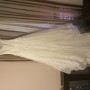 IMG_6731 IMG_6731