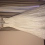 IMG_6737 IMG_6737