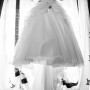 IMG_3966 IMG_3966