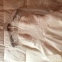 IMG_5742 IMG_5742