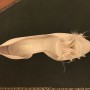 IMG_8780 IMG_8780