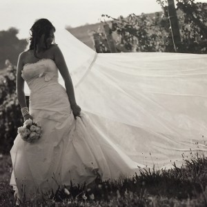 IMG_8637 IMG_8637