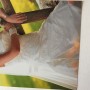 IMG_8638 IMG_8638