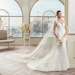 nicole-spose-COAB17249-Colet-moda-sposa-2017-296