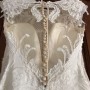 IMG_4564 IMG_4564