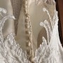 IMG_4569 IMG_4569