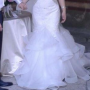 IMG_4576 (1) IMG_4576 (1)