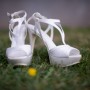 DSC_0222 DSC_0222