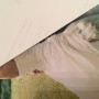 IMG_6261 IMG_6261