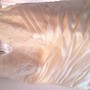 20180120_135729