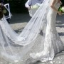 IMG_2006 IMG_2006
