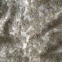 1C6AAEDF-63F6-4976-AB95-73D3917CED06 1C6AAEDF-63F6-4976-AB95-73D3917CED06