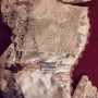 IMG_6013 IMG_6013