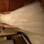 IMG_8231 IMG_8231