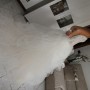 IMG_3859 IMG_3859