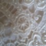 IMG-20190615-WA0010