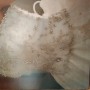IMG-20191026-WA0010 IMG-20191026-WA0010