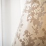 AB309767 AB309767