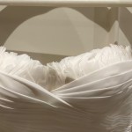 IMG_4469