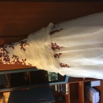 IMG-8397