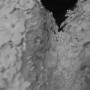 49317482-04E5-4C79-A0D4-1706577B03C7