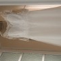 IMG_3516 IMG_3516