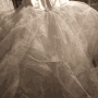 IMG_5964 IMG_5964