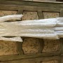 AE7F3279-E0A8-4466-B0FD-806D972F5396