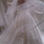 IMG-20170121-WA0005 IMG-20170121-WA0005