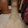 IMG_6662 IMG_6662
