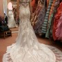 IMG_6665 IMG_6665