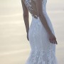 IMG_8205 IMG_8205