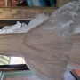IMG_20230707_112445 IMG_20230707_112445