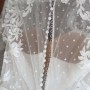 IMG_2617 IMG_2617
