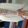 IMG_4474 IMG_4474