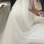IMG_5293 IMG_5293